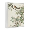 Stupell Industries Traditional Dogwood & Bird, 11" x 14" - 3 of 4
