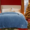 Bedsure Heated Blanket - Fast Heating Electric Blanket Soft Flannel Heated Throw Warm Gifts for Family - 3 of 4