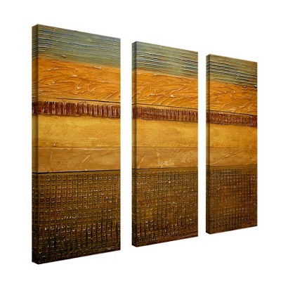 Trademark Fine Art -Earth Layers by Michelle Calkins-set of 3 - Canvas Art