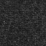 black ivory