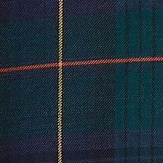 rain forest green plaid