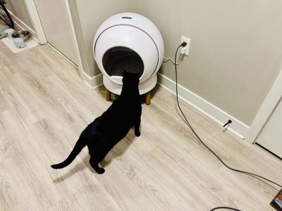 Guest review image 1 of 3, zoom in