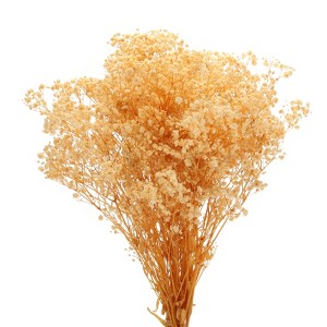 Unique Bargains Natural Dried Baby's Breath Flowers Branches for Wedding Party Decoration White 2 Pcs - 1 of 4
