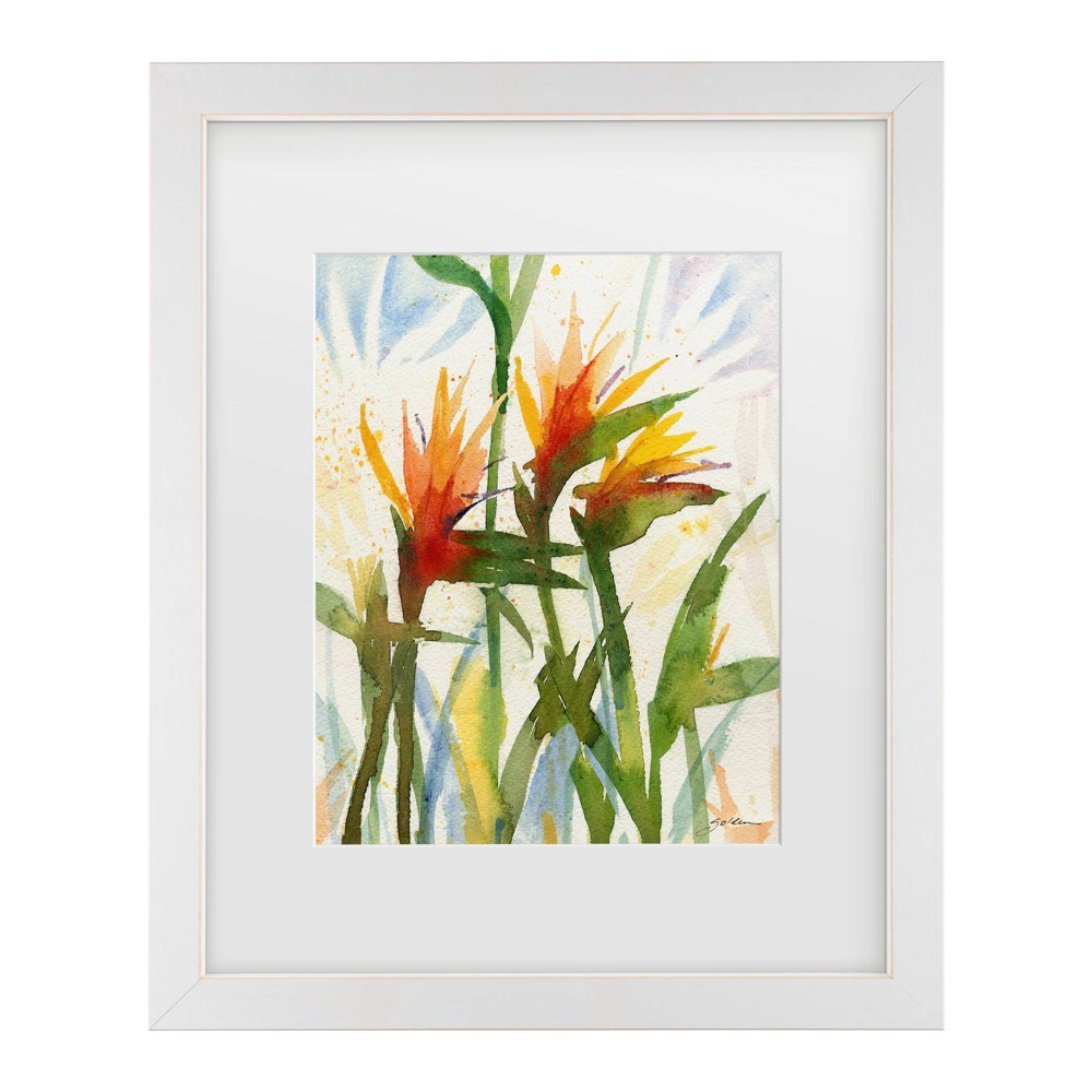 Trademark Fine Art 16"x20" Sheila Golden Birds of Paradise Matted Framed Art White