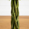 Nearly Natural 4-ft Boxwood Double Ball Artificial Topiary Tree with Woven Trunk, UV Resistant (Indoor/Outdoor) - 4 of 4