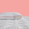 Plush Adjustable Gel Memory Foam Bed Pillow with Antimicrobial Cover - nüe by Novaform - image 2 of 4