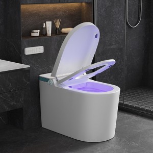 Dyonery Smart Toilet with Bidet Built in, toilet with heated seat and night light, bathroom integrated toilet, with tank, automatic soft-close - 1 of 4