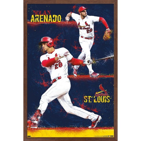 MLB Wooden Wall Art Picture ST LOUIS CARDINALS Poster