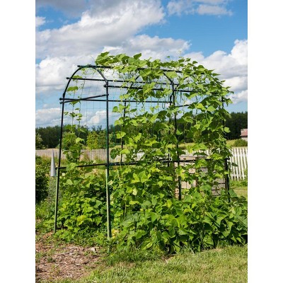 Extra Tall Black Metal Garden Arch Arbor with Nylon Netting