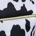 cow print-17 inch