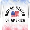 United States Of America Wavy Flag Adult Americana Wash Crew Neck Short Sleeve T-shirt - 2 of 4