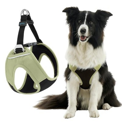 Gooby Dog Harness, XLarge Portland Green