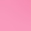 pink blossom