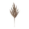 Harvest Plume Stem (Set of 6) - 2 of 2