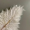 Alilang Decorative Dried Fern Leaves for Home Decoration and Floral Arrangements, 13.5 Inches - 2 of 3
