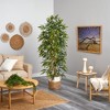 Nearly Natural 6-ft Artificial Bamboo Tree with Handmade Jute & Cotton Basket - 4 of 4