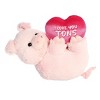 Aurora Medium I Love You Tons Valentine Heartwarming Stuffed Animal Pig 11" - 2 of 4