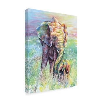 Trademark Fine Art -Michelle Faber 'Mother & Baby Elephant Rainbow Colors' Canvas Art
