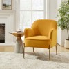 Odo Upholstered Accent Chair Velvet Comfy Living Room  Arm Chair | Karat Home - 2 of 4