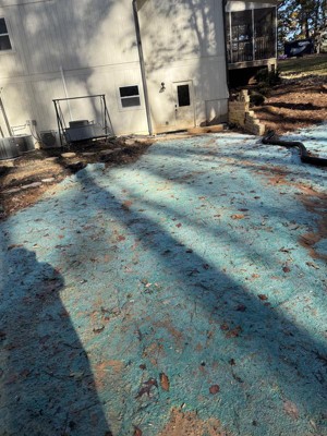 Guest review image 1 of 2, zoom in