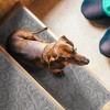 Sussexhome Leaves Collection Non-Slip Carpet Stair Treads for Wooden Steps, 9" X 28" - 4 of 4