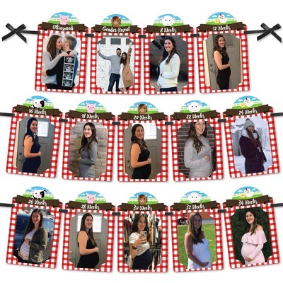 Big Dot of Happiness Farm Animals - DIY Baby Shower Decor - Weekly Pregnancy Picture Display - Photo Banner