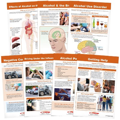 Sportime Alcohol Abuse and Addiction Bulletin Board Charts, set of 7, Grades 5 through 12