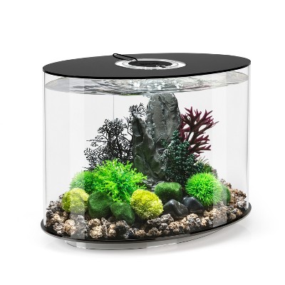 Biorb Fan Coral Ornament Aquarium Sculptures - White : Target