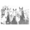 Juniors Womens Lost Gods Black and White Horses T-Shirt - 2 of 4