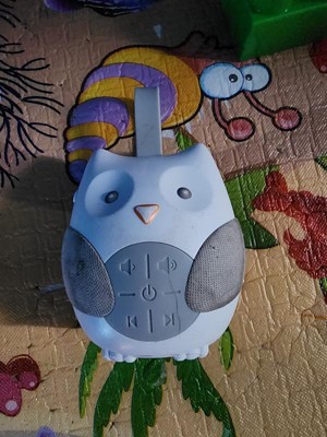 Skip hop portable baby best sale owl soother