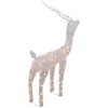 Northlight 48-Inch Lighted White Mesh Buck Outdoor Christmas Decoration - Clear Lights - 4 of 4