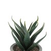 Unique Bargains Artificial Plants Mini Serrated Edge Aloe in Pulp Plastic 3.54"x3.54"x4.72" 1Pcs - 4 of 4