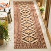 Veranda VER099 Power Loomed Indoor/Outdoor Rugs - Safavieh - 3 of 4