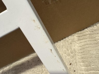 Guest review image 1 of 2, zoom in