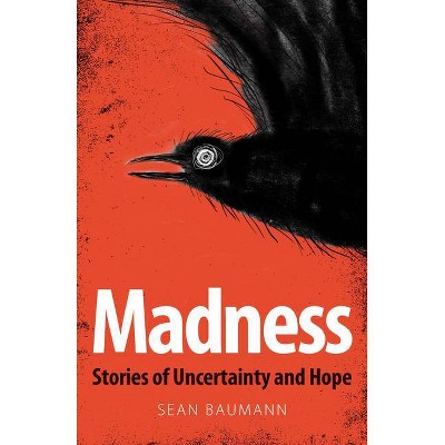 Madness - by  Sean Baumann (Paperback)