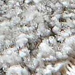 cream, mustard, blue, charcoal, lightgray