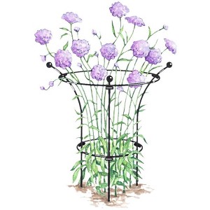 Gardener's Supply Company Essex Plant Support | Sturdy Metal Plants Support Frame For Peonies, Rose Ornamental Flower Garden Cage | Natural Bouquet - 1 of 1