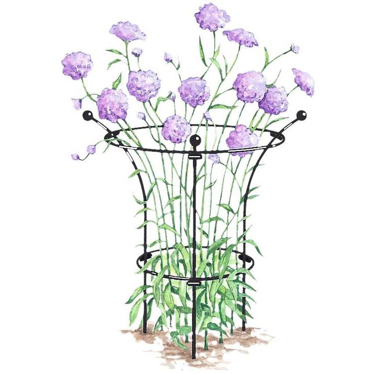 Gardener's Supply Company Essex Plant Support | Sturdy Metal Plants Support Frame For Peonies, Rose Ornamental Flower Garden Cage | Natural Bouquet, 1 of 1