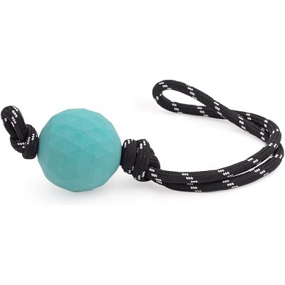 ZippyPaws ZippyTuff Waggle Ball RopeTugz Dog Toy