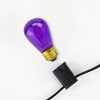 Northlight Pack of 25 Transparent Purple S14 Christmas Replacement Bulbs - 3 of 3