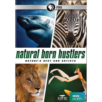 Nature: Natural Born Hustlers (DVD)(2016)