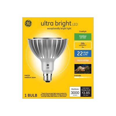 General Electric 250W PAR38 Ultra Bright LED Light