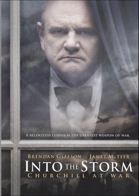 Into The Storm (DVD)