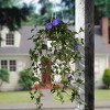 44" Artificial Hanging Morning Glory Plant - National Tree Company - 2 of 4
