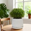 Wooakway 8" Dia Outdoor Indoor Ceramic Planter Pot Decorative Planter with Drainage Hole Patio Flower Pot - 3 of 4