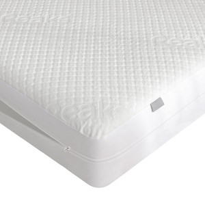 Aoibox Queen Size Bamboo Rayon Mattress Protector Zippered 100 Waterproof Cooling Soft Noiseless Removable Cover - 1 of 4