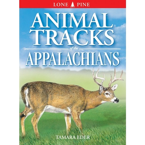 Basic Illustrated Animal Tracks - 3rd Edition By Jonathan Hanson & Roseann  Hanson (paperback) : Target