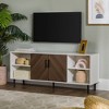 Angelo Modern 2 Door Bookmatch TV Stand for TVs up to 65": Entertainment Center for 65" TVs - Saracina Home - 2 of 4
