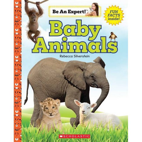 Baby Animals Be An Expert By Rebecca Silverstein Target