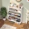 Aheaplus Shoe Cabinet with Motion Sensor Light, Shoe Storage Organizer with Flip Door and Open Storage Shelf - 2 of 4